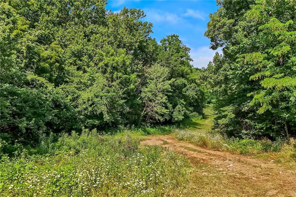 11026 Shach Creek Road Property Photo 44