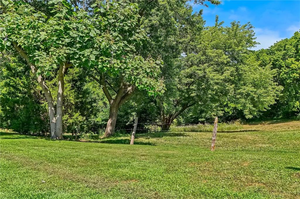 11026 Shach Creek Road Property Photo 46