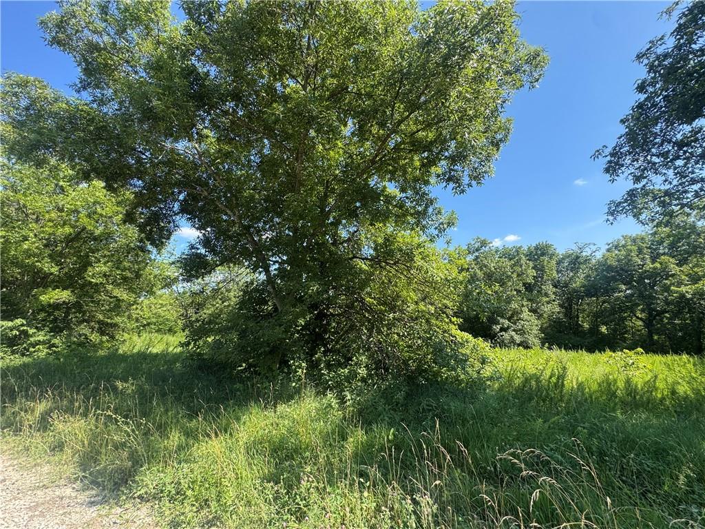 Fishing River Road Property Photo 3