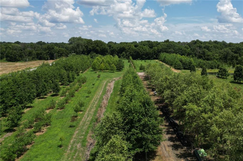 22701 Timberview Road Property Photo 2