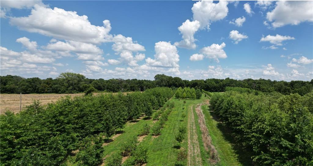 22701 Timberview Road Property Photo 6