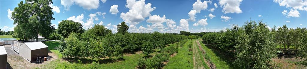 22701 Timberview Road Property Photo 11