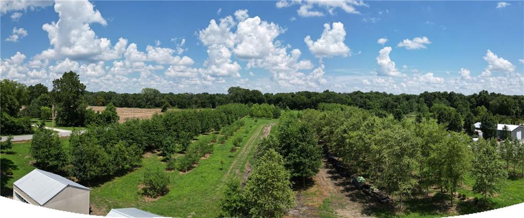 22701 Timberview Road Property Photo 17