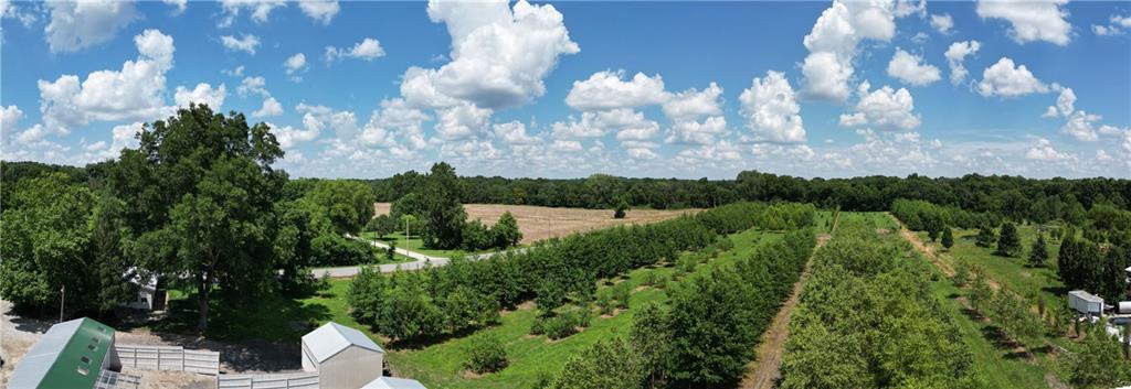 22701 Timberview Road Property Photo 19