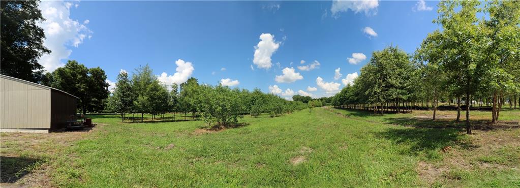22701 Timberview Road Property Photo 24