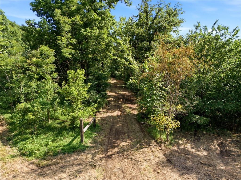 14710 County Rd 337 N/a Property Photo 11