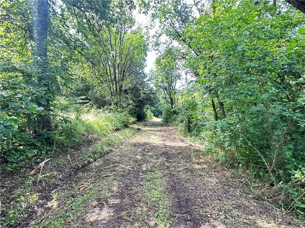14710 County Rd 337 N/a Property Photo 26