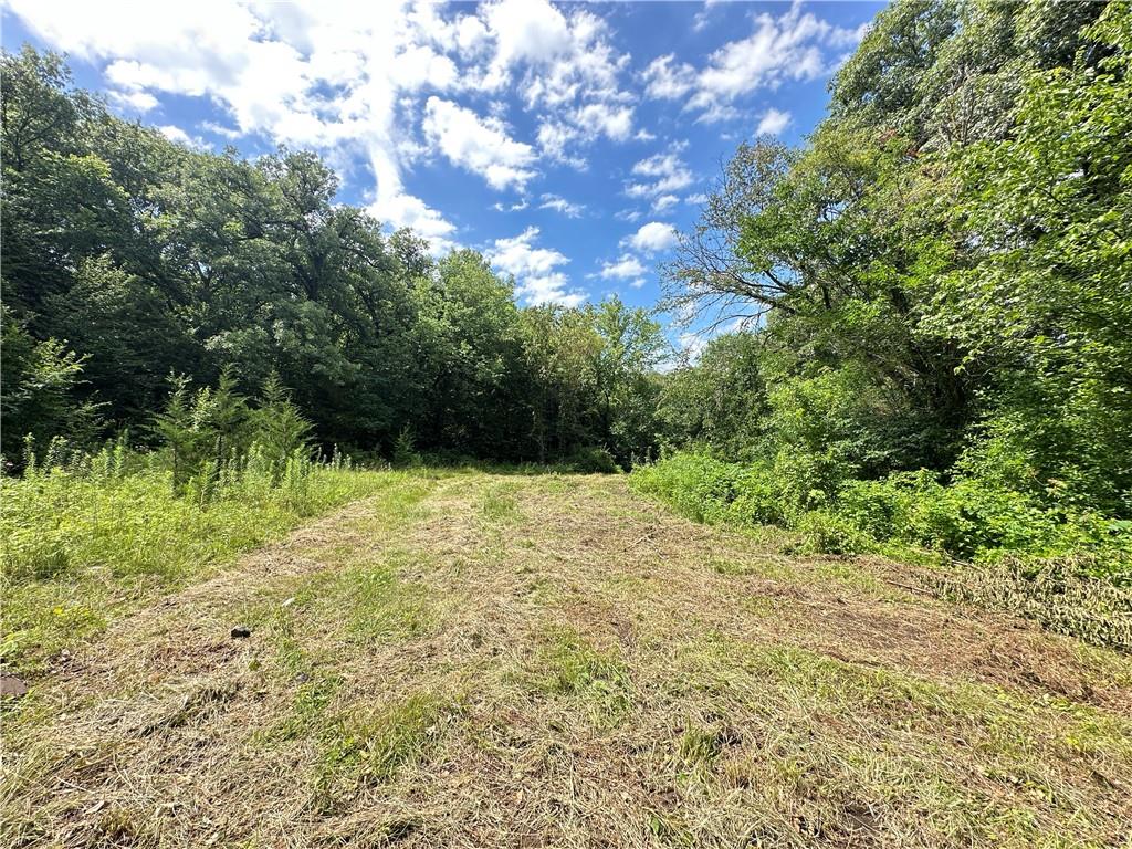 14710 County Rd 337 N/a Property Photo 28