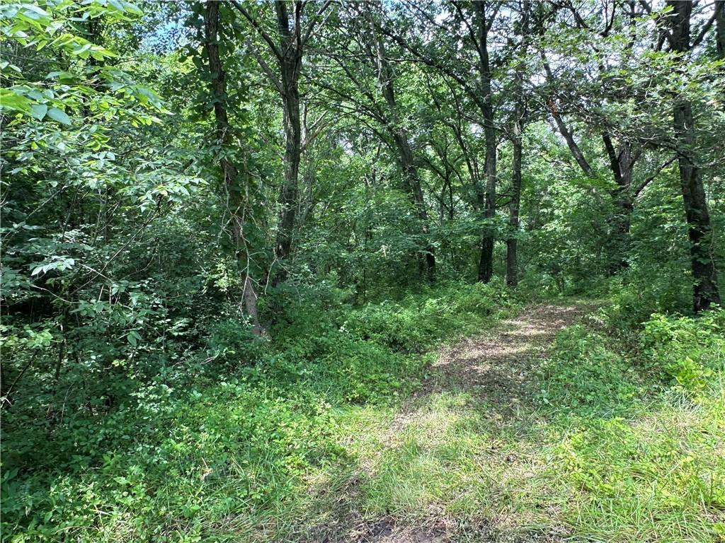 14710 County Rd 337 N/a Property Photo 31