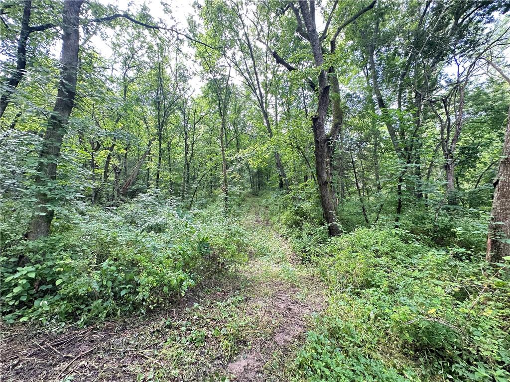 14710 County Rd 337 N/a Property Photo 32