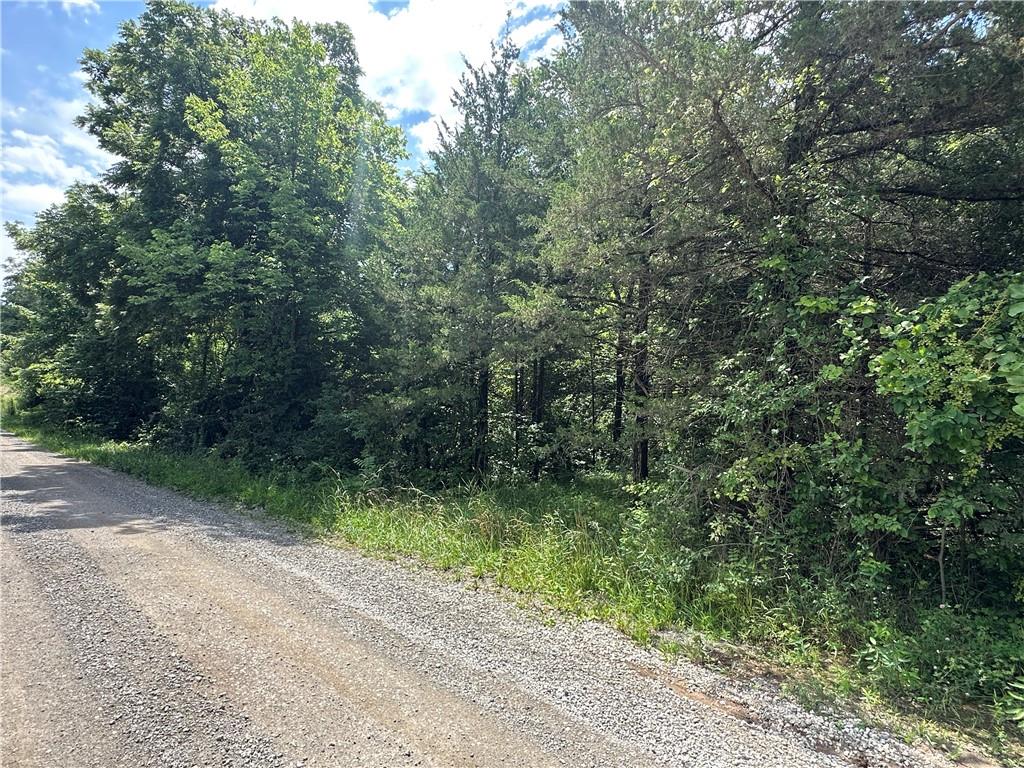 14710 County Rd 337 N/a Property Photo 39