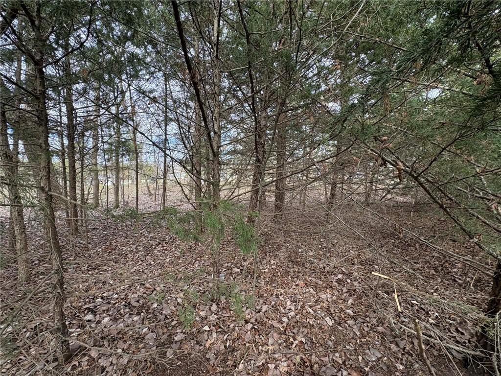 5 Itasca Lane Property Photo 3