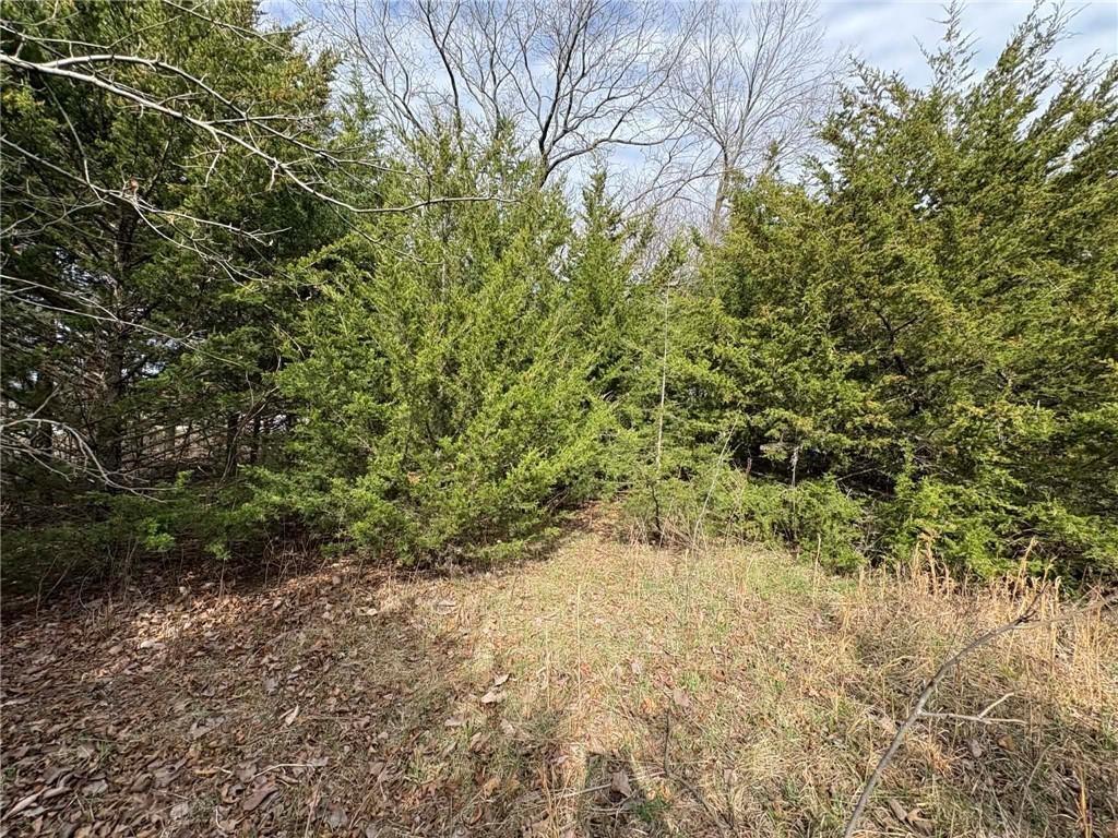 5 Itasca Lane Property Photo 4