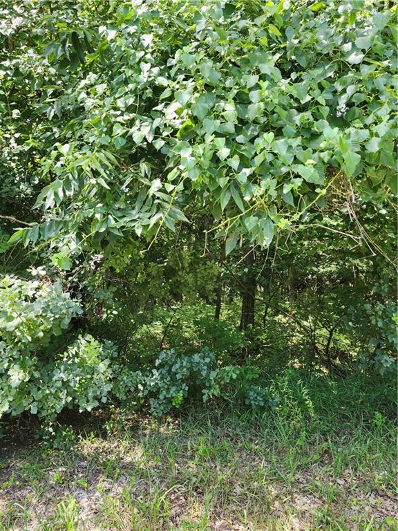 29 N Lakeside Circle Property Photo 4