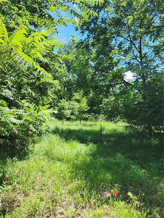 26 N Lakeview Circle Property Photo 3