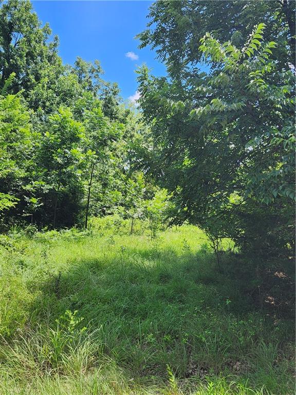 26 N Lakeview Circle Property Photo 5