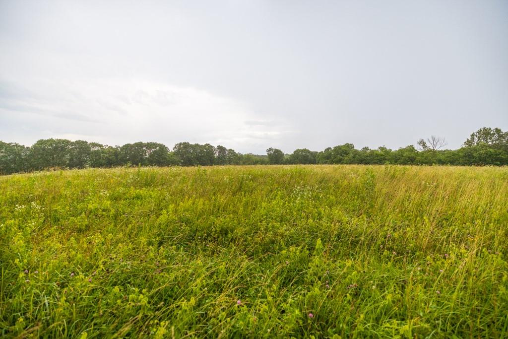 Tbd Norris Road Property Photo 25