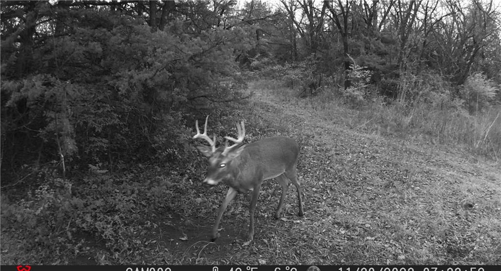 4651 Cr 5700 N/a Property Photo 16