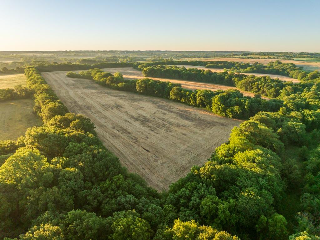 Cr 130 Road Property Photo 26