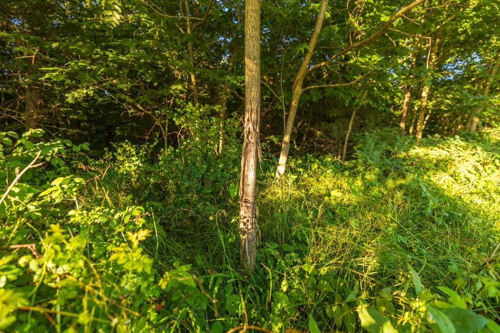 Cr 130 Road Property Photo 29