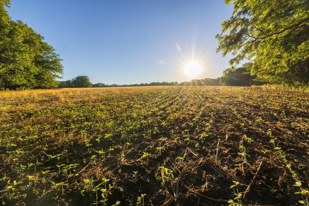 Cr 130 Road Property Photo 32
