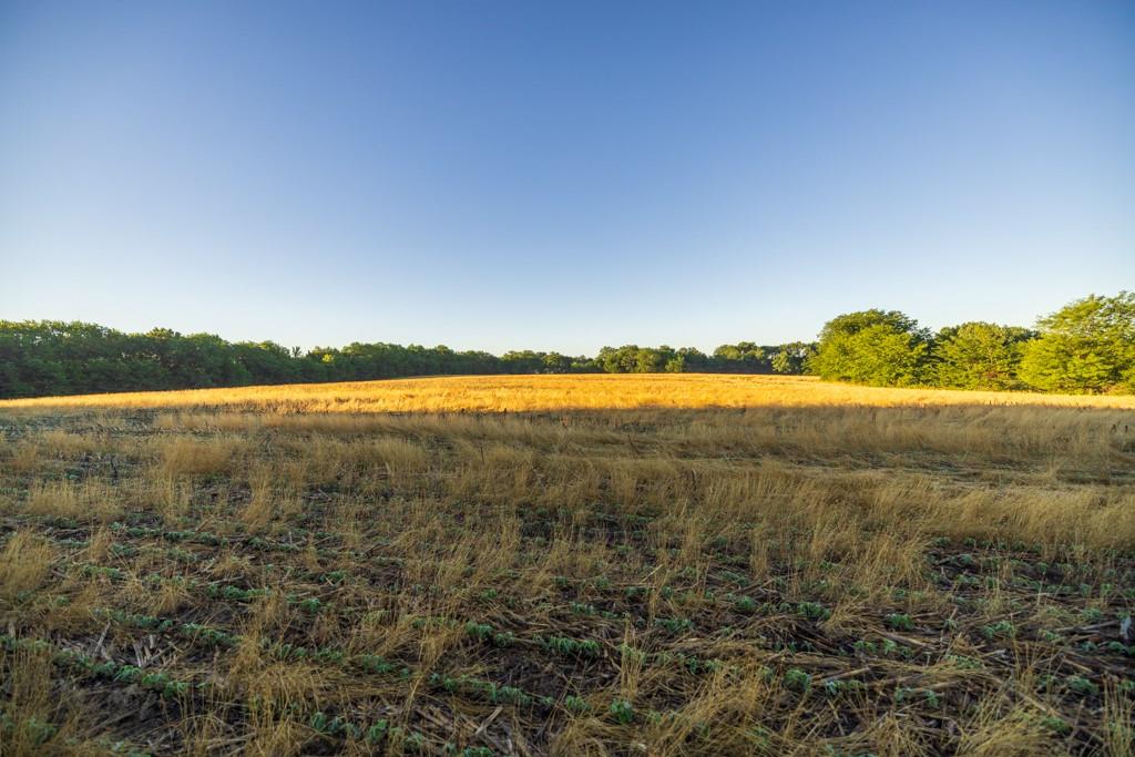 Cr 130 Road Property Photo 35