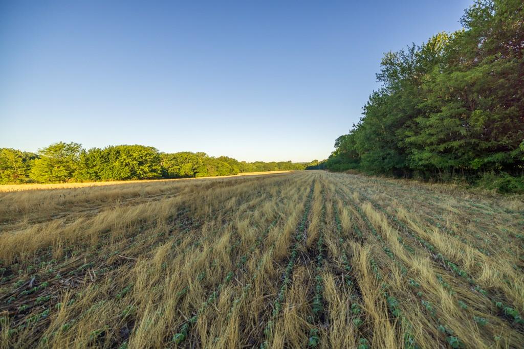 Cr 130 Road Property Photo 36