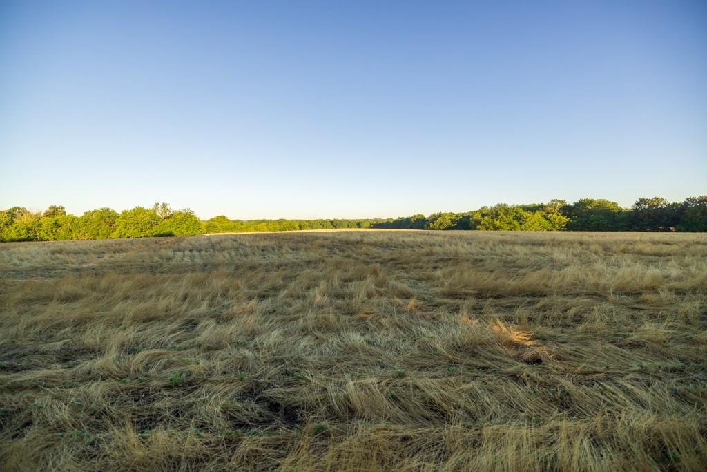 Cr 130 Road Property Photo 38