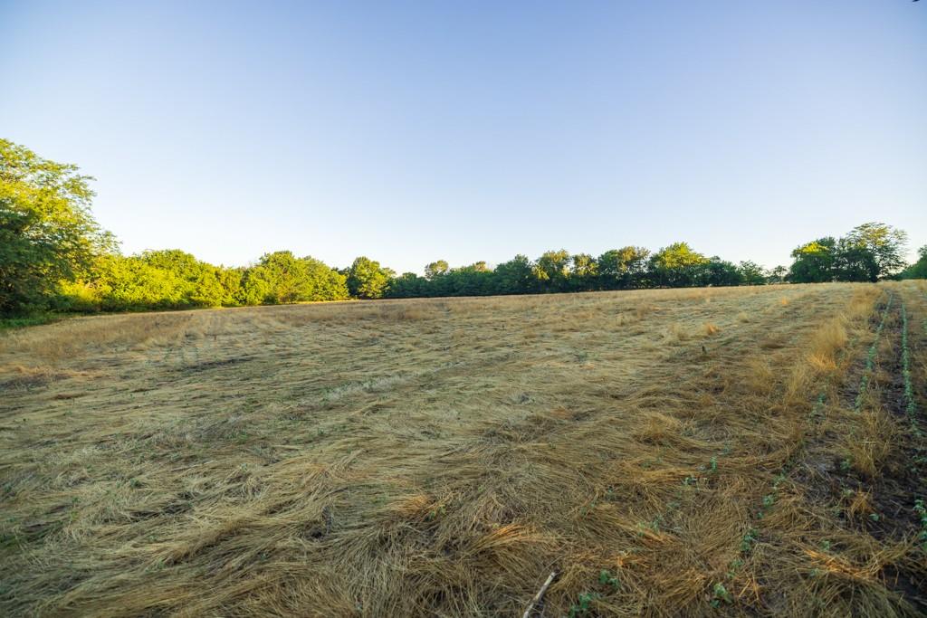 Cr 130 Road Property Photo 39
