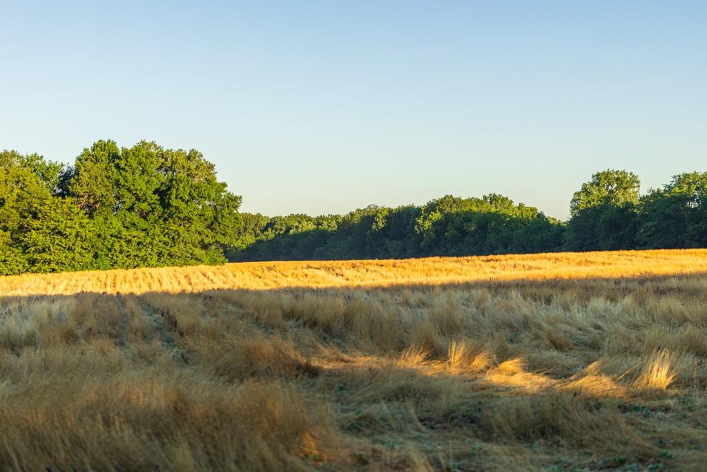 Cr 130 Road Property Photo 44