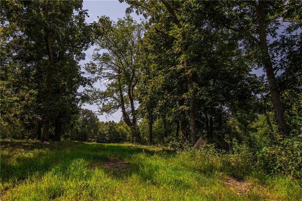 29412 S State Route D Highway Property Photo 8