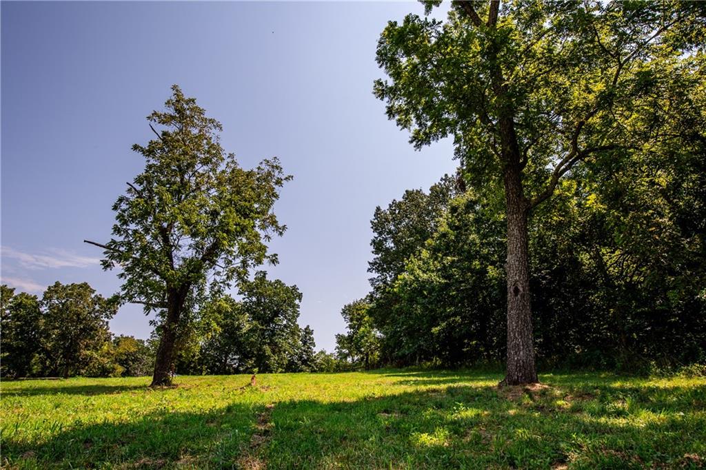29412 S State Route D Highway Property Photo 34