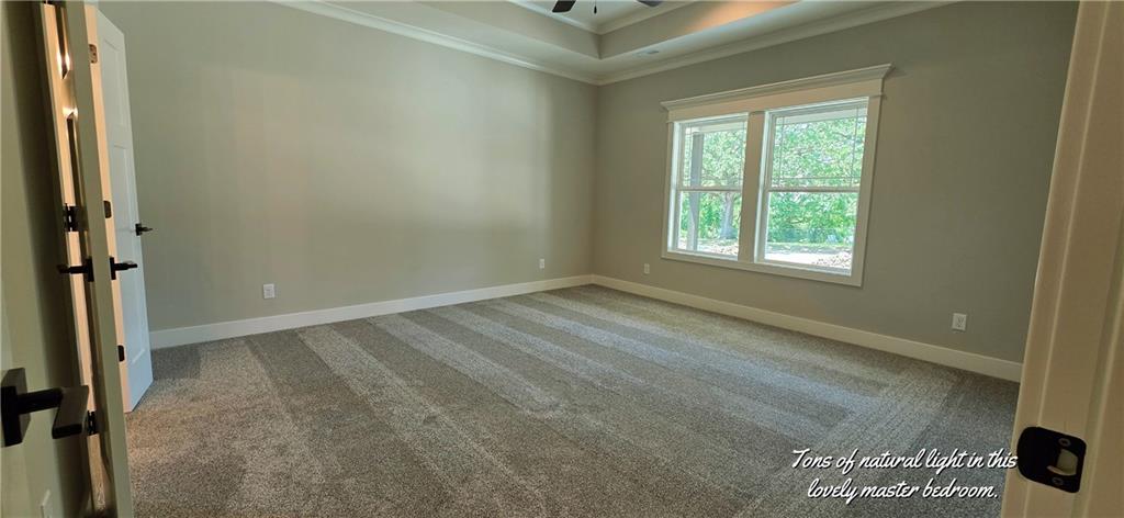 1104 Jackson Street Property Photo 32