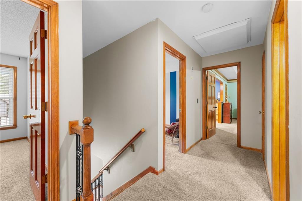 8448 Constance Street Property Photo 20