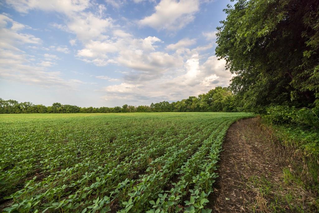 Tbd Ne 500th Road Property Photo 32