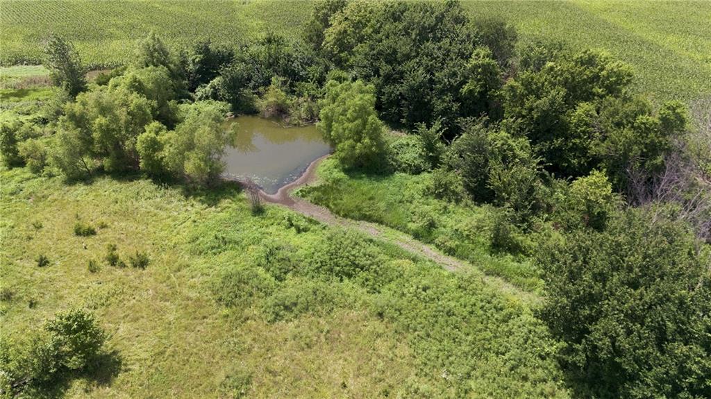 4191 Delaware Road Property Photo 32