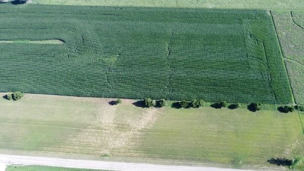 1062 Rd Road Property Photo 6
