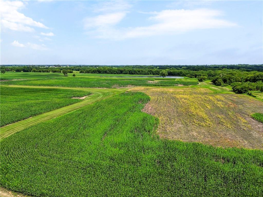 61 Acres Tract 3 291 Highway Property Photo 14