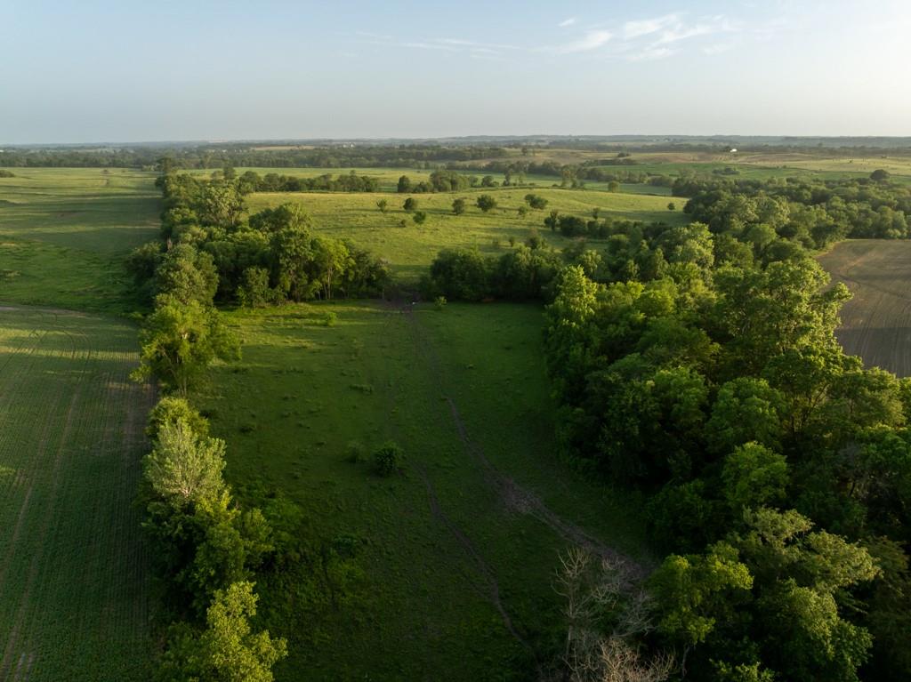 20731 Cowsert Drive Property Photo 19