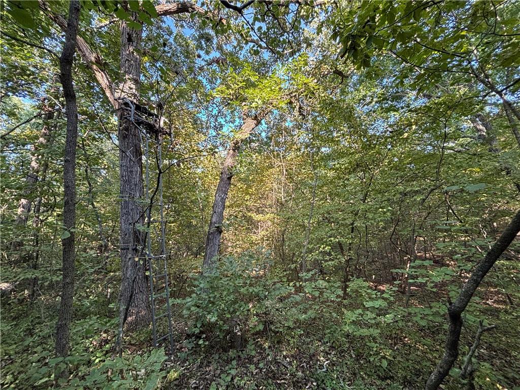 17296 Chase Lane Property Photo 38