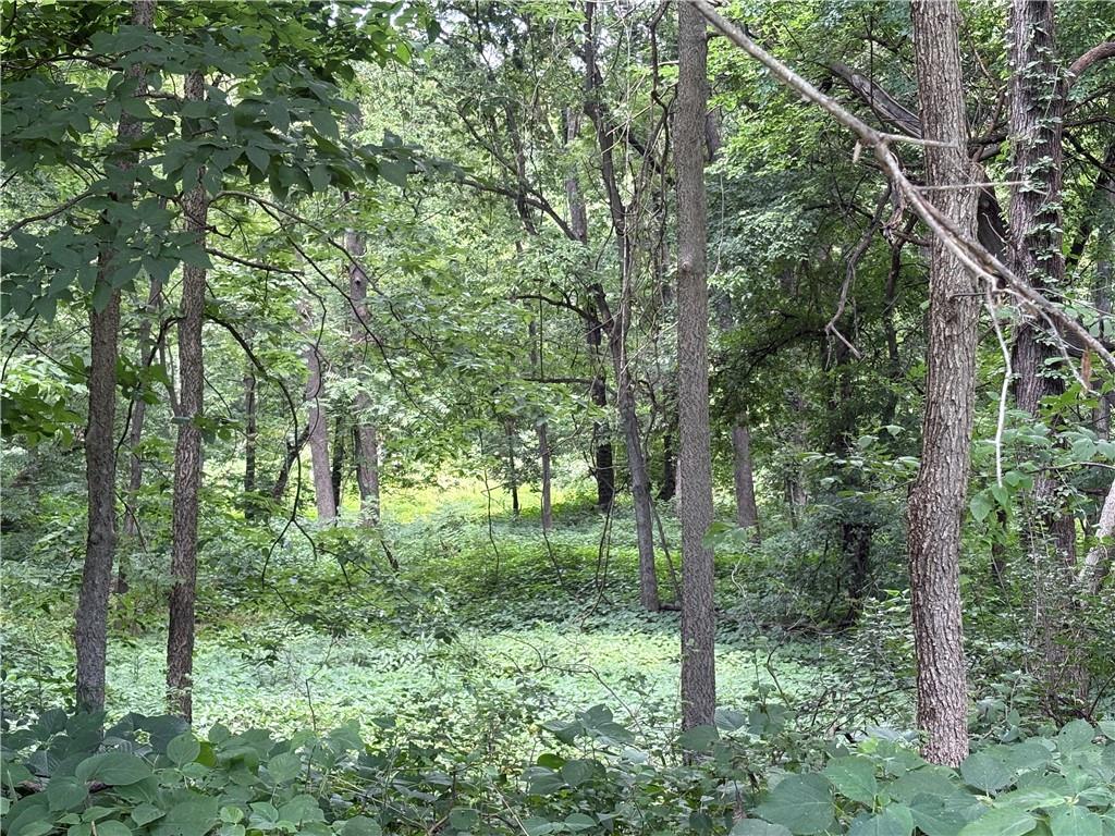 19607 Fightmaster Road Property Photo 58