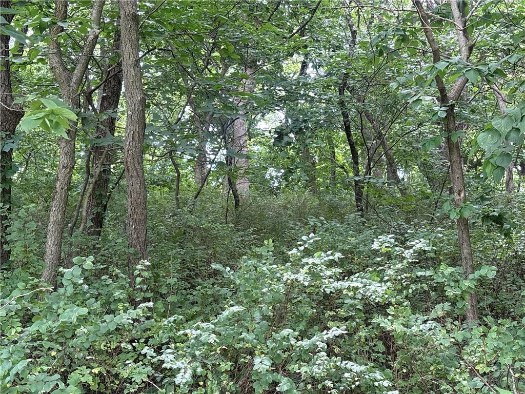 19607 Fightmaster Road Property Photo 59