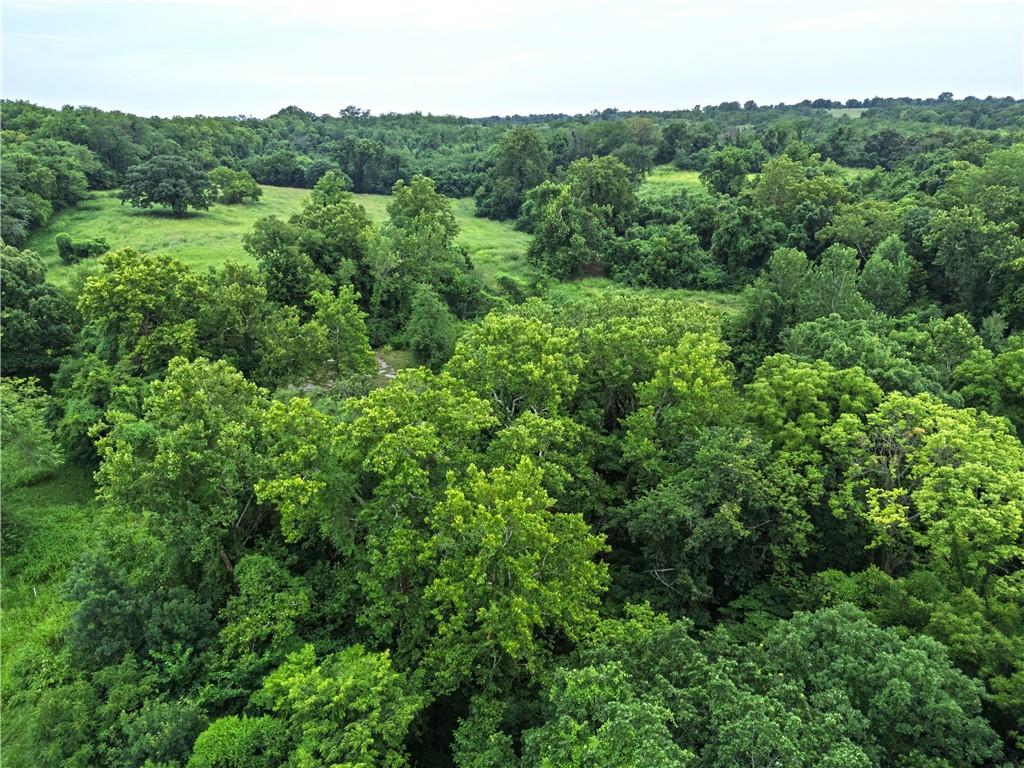 21201 E Blue Mills Road Property Photo 6