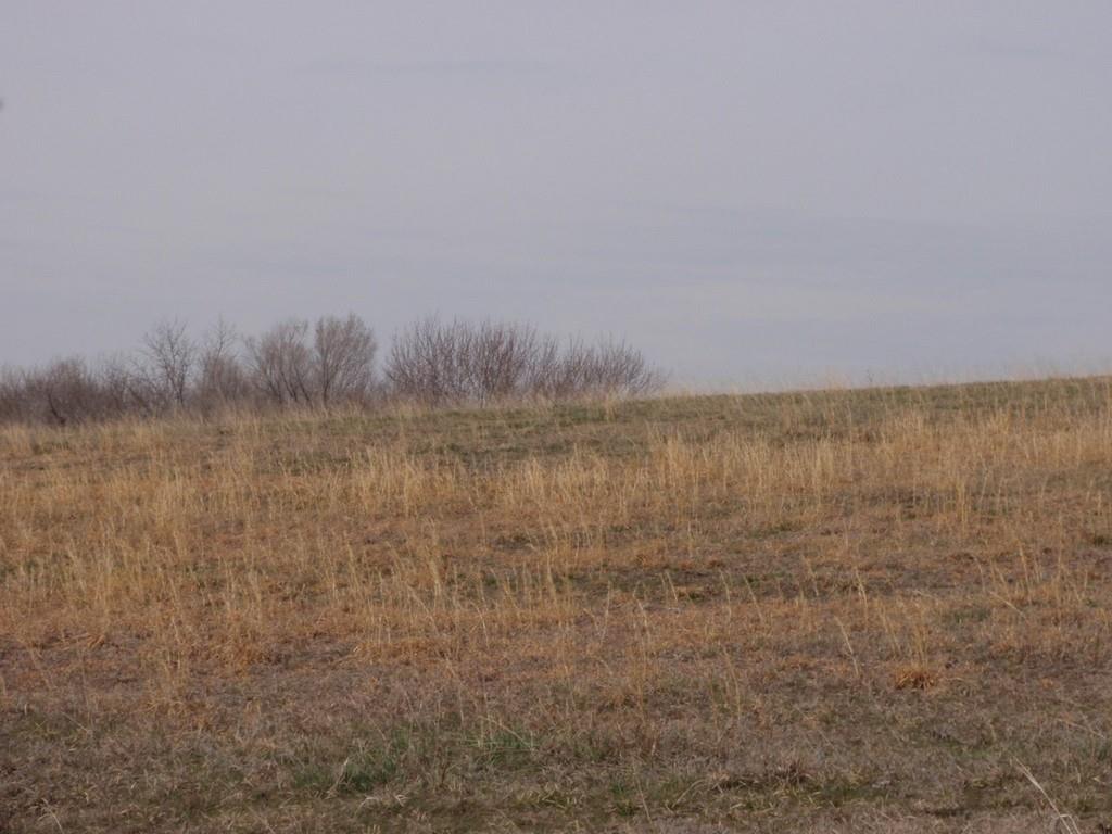 2255 Douglas Road Property Photo 1