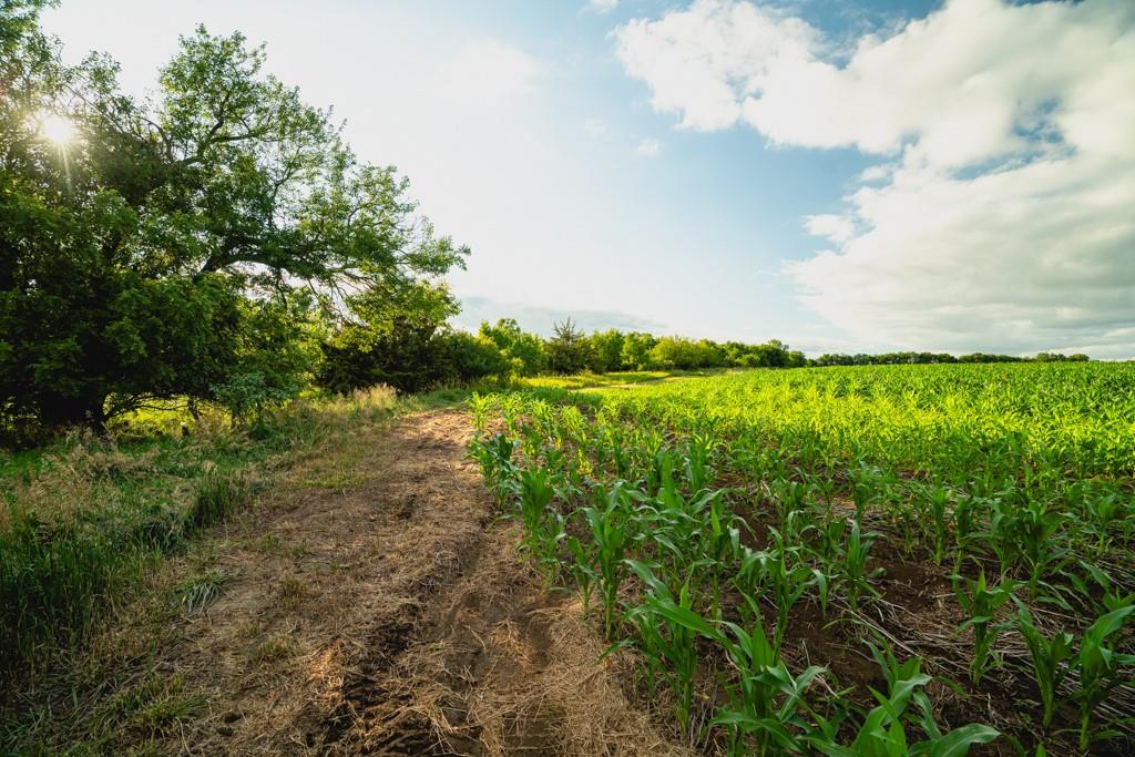 001 E 68 Highway Property Photo 12