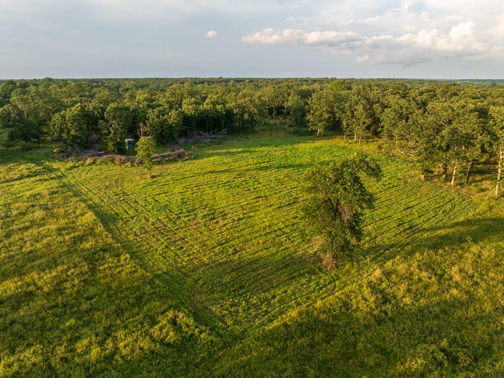 Ne 100th Road Property Photo 28