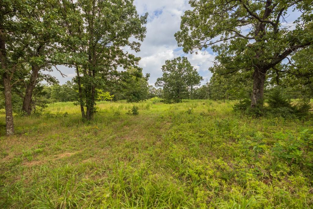 Ne 100th Road Property Photo 57