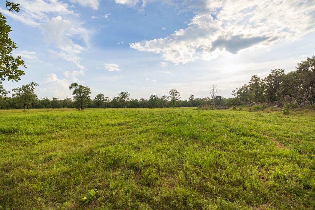 Ne 100th Road Property Photo 60