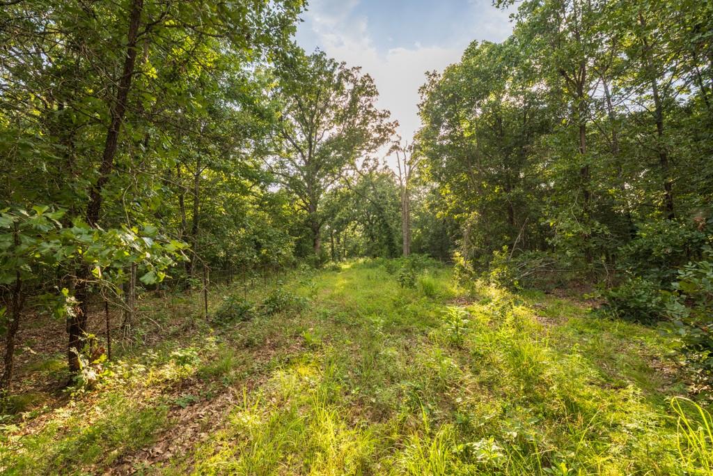Ne 100th Road Property Photo 63