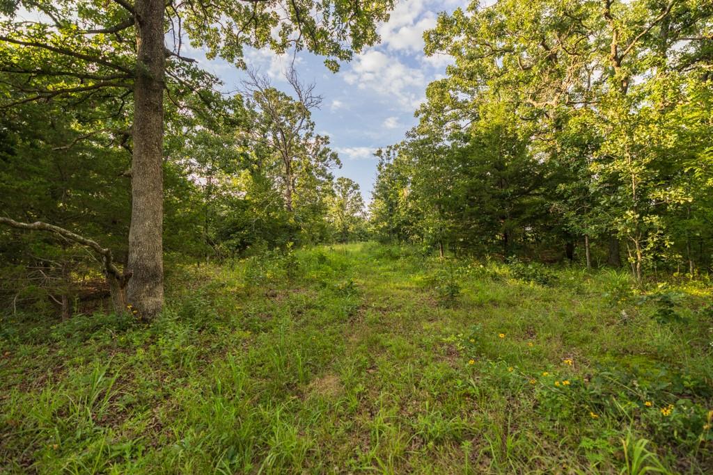 Ne 100th Road Property Photo 65